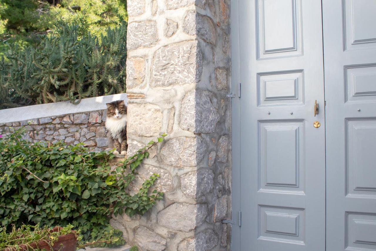 Pine Trees And Sea View Houses In Hydra - Daphne, Chloe, Myrto, Eleni Exterior photo
