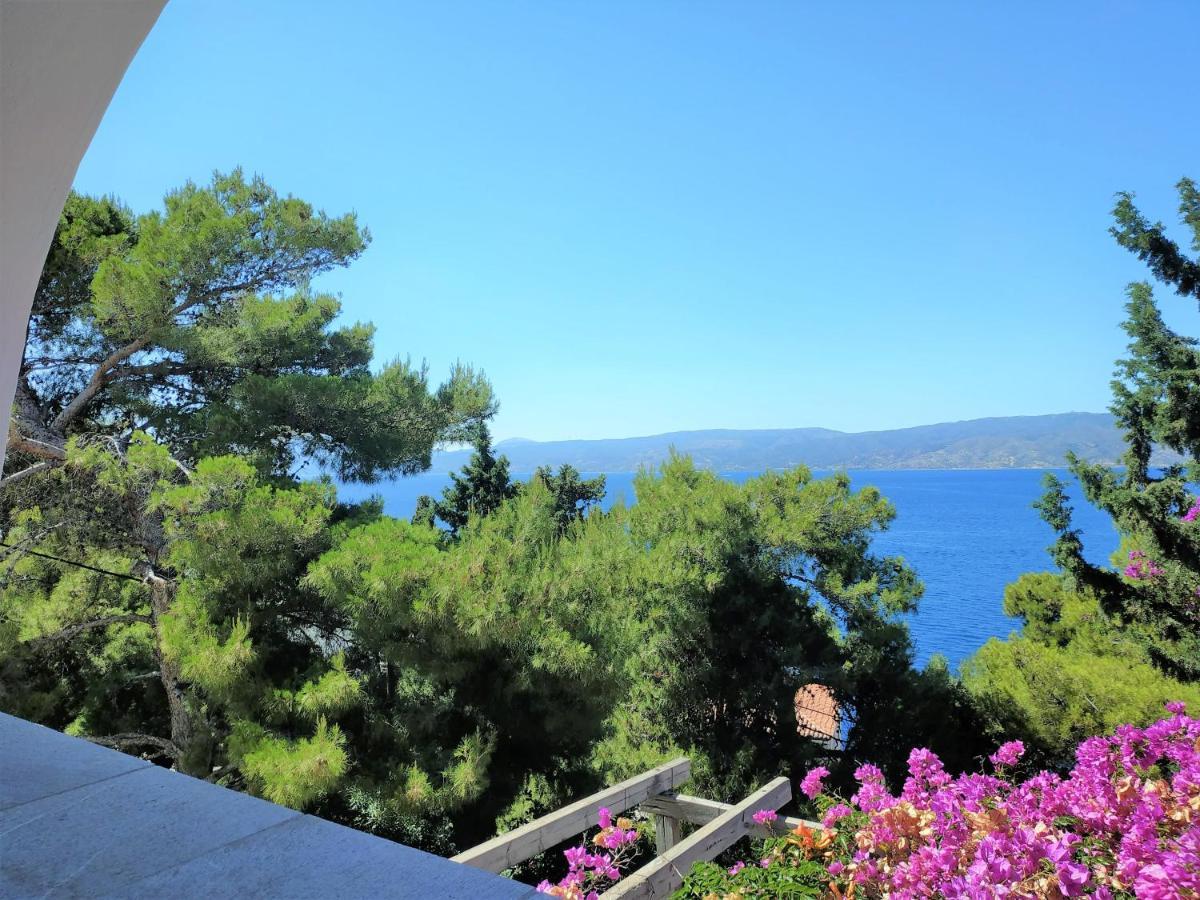 Pine Trees And Sea View Houses In Hydra - Daphne, Chloe, Myrto, Eleni Exterior photo