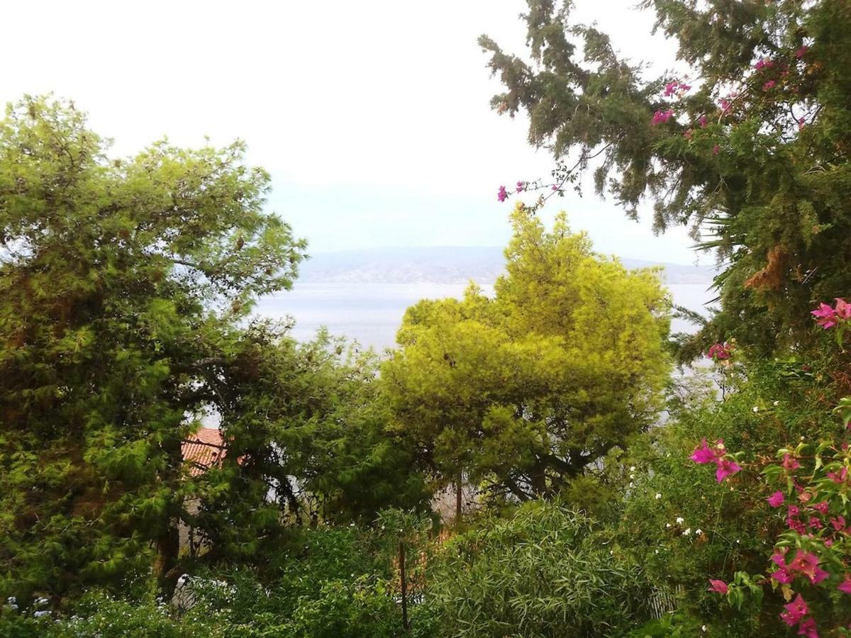 Pine Trees And Sea View Houses In Hydra - Daphne, Chloe, Myrto, Eleni Exterior photo