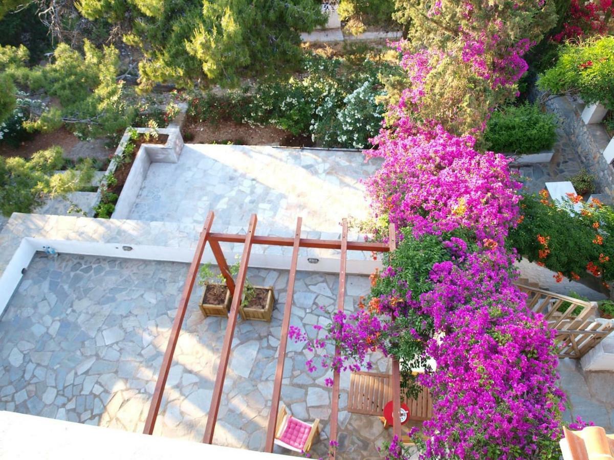 Pine Trees And Sea View Houses In Hydra - Daphne, Chloe, Myrto, Eleni Exterior photo